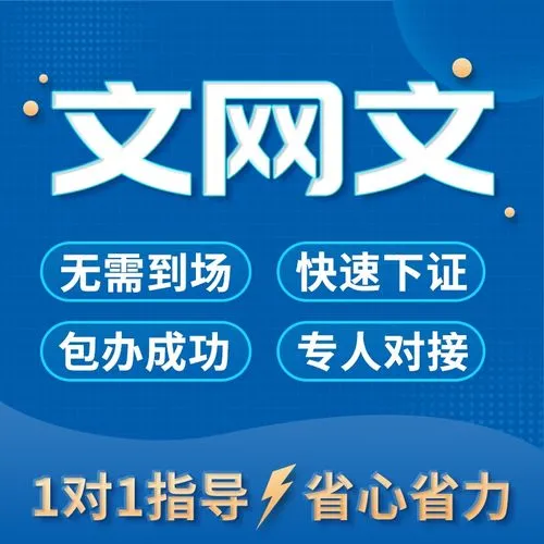 广西文网文值申请办理